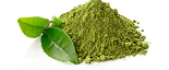 Green Tea(Extract)